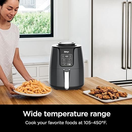 Ninja Fryer Ad With Fired Food